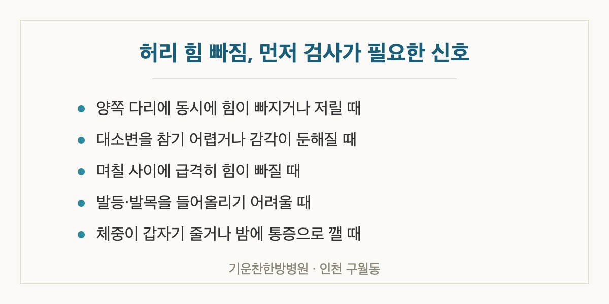 노인 허리 힘없음에서 먼저 검사가 필요한 신호 5가지를 정리한 안내 이미지